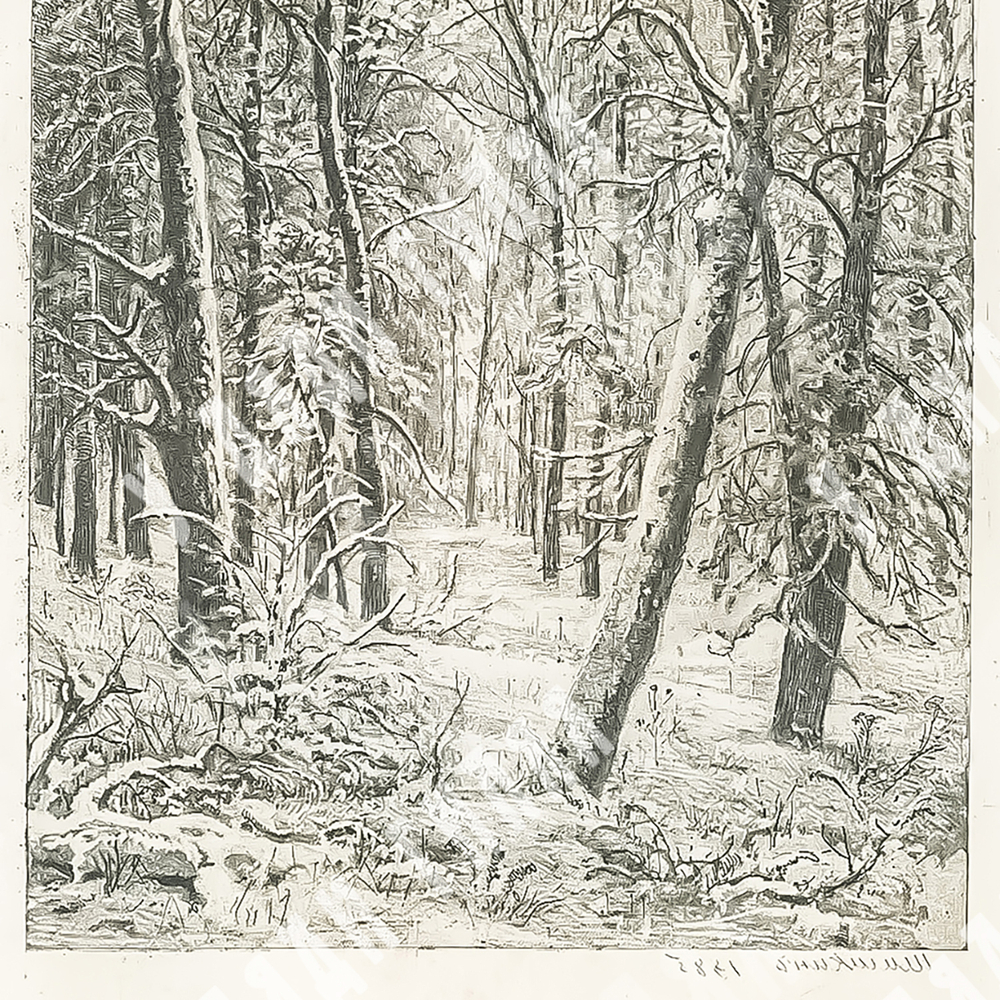 Шишкин И. И. Зима. Бумага, офорт. Россия. 1885.