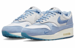 Кроссовки Nike Air Max 1 "Blueprint"
