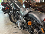 Harley-Davidson Iron 883 (2019)