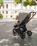 Прогулочная коляска Carrello Epica CRL-8509 Iron Grey