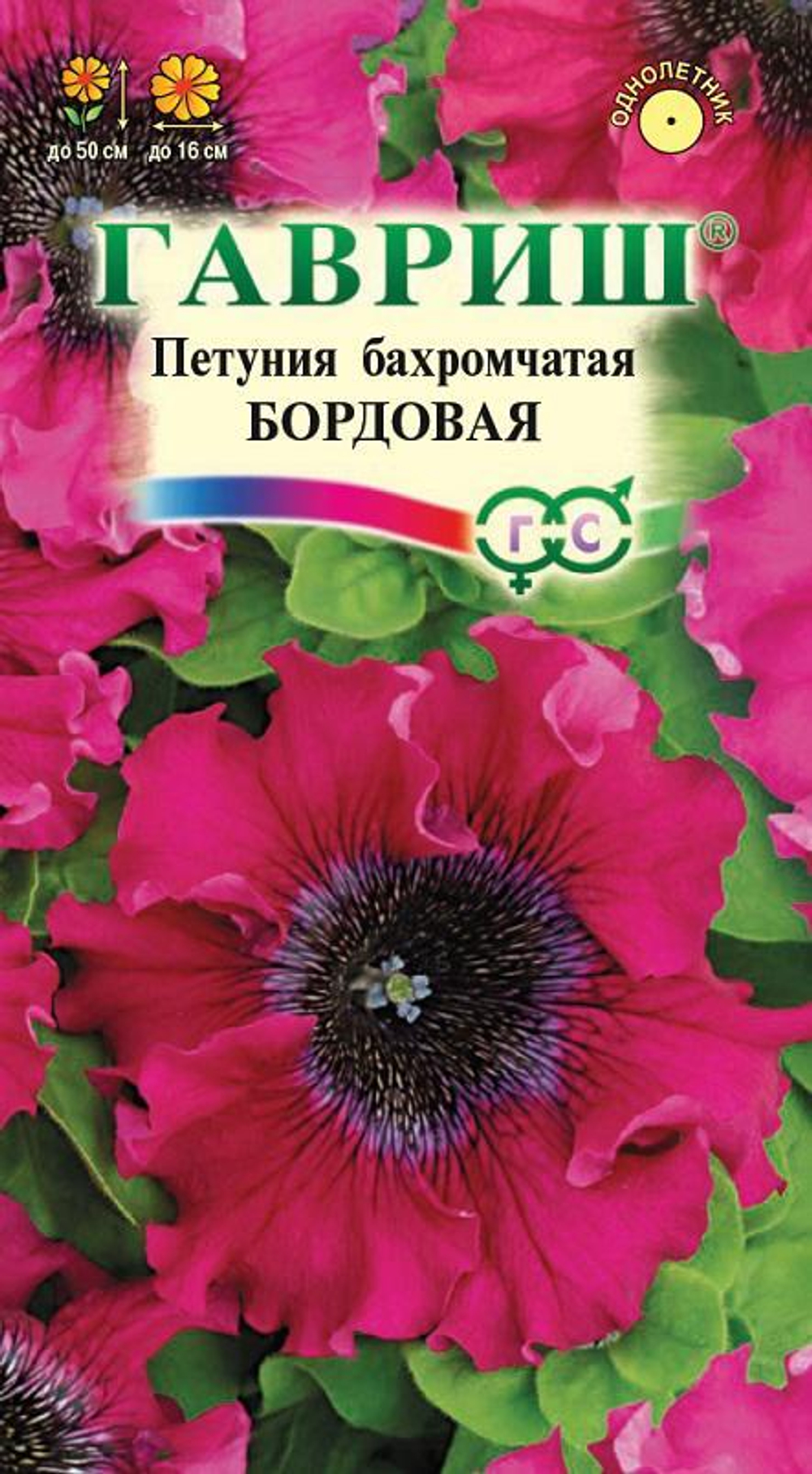 Петуния "Бордовая" бахромчатая крупноцветковая 10 шт. Гавриш