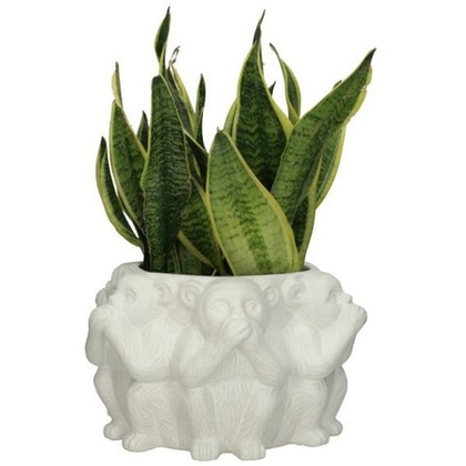 Кашпо Обезьяны 32 см