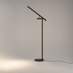 Напольный светильник (торшер) Maytoni MOD363FL-L14B3K