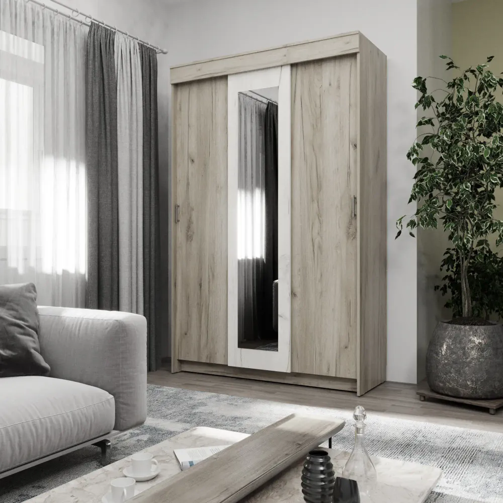 Шкаф купе Мираж 11