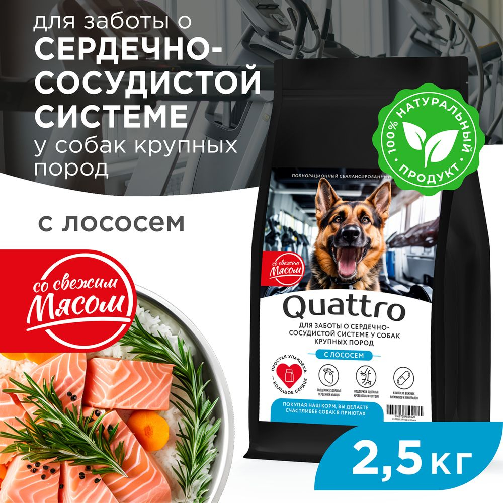 Корм сухой для взрослых собак крупных пород, премиум полнорационный комплекс, для заботы сердечно-сосудистой системы, с лососем, 2,5 кг, QUATTRO