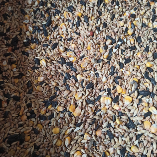 Сухой корм зерносмесь №1 для птицы 5 кг