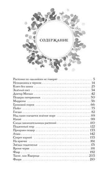 Звездный цветок