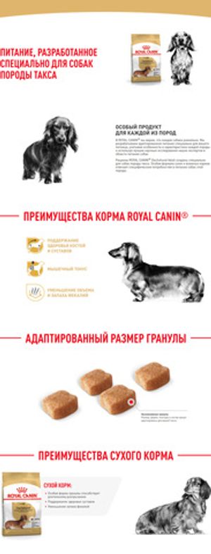 Корм для собак породы такса, Royal Canin Dachshund Adult