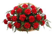 Ритуальная корзина "24 красных гвоздики, папоротник"