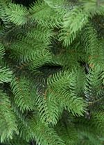 Ель искусственная «Торжественная» (Литая хвоя) 4 м