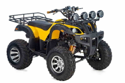 Квадроцикл TIGER Sport 250 (2024)