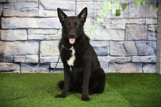 Туадаш ГАНС 04.01.2025 д.р. - подробнее...