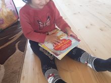 Qızıl xoruz nağılı