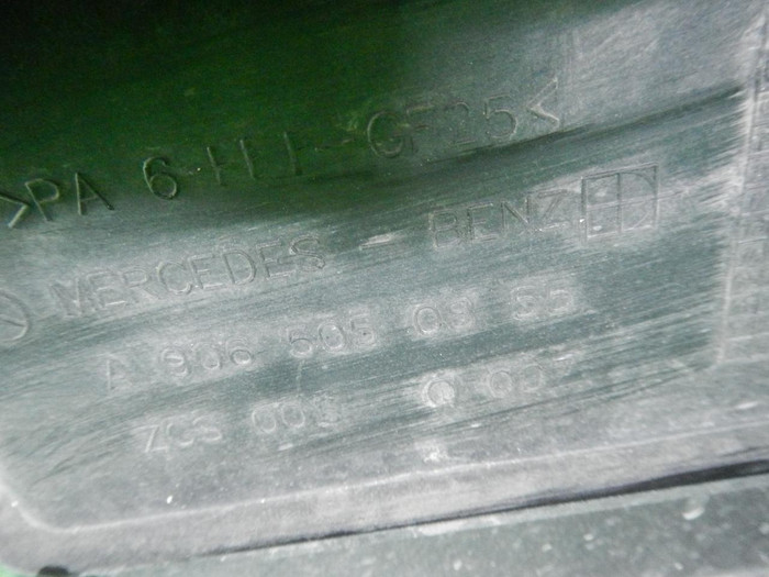DSCN7981.JPG