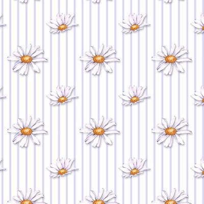 Белые ромашки на белом фоне с полосами