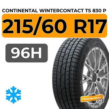 Continental WinterContact TS 830 P 215/60 R17 96H