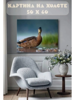 Картина на стену 40 X 50 Утка