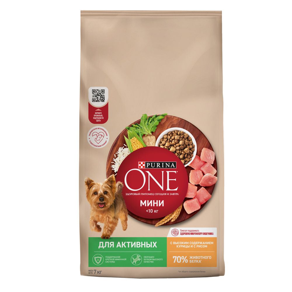 Сухой корм Purina ONE МИНИ &amp;lt;10 кг для собак мелких пород с активным образом жизни курица рис 7 кг