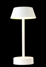 Аккумуляторный светильник Crystal Lux SANTA LG1 WHITE