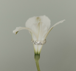 кафф лавровая веточка