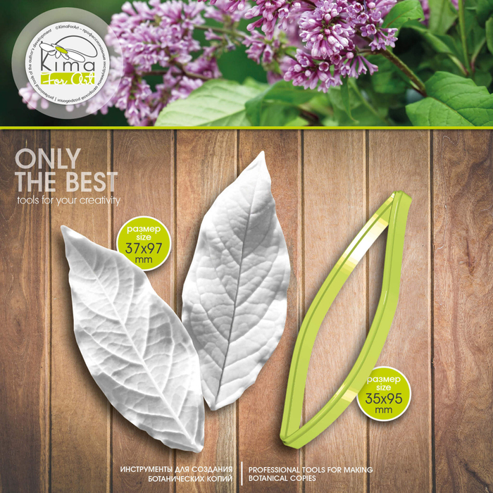 Сирень престон роялти лист большой