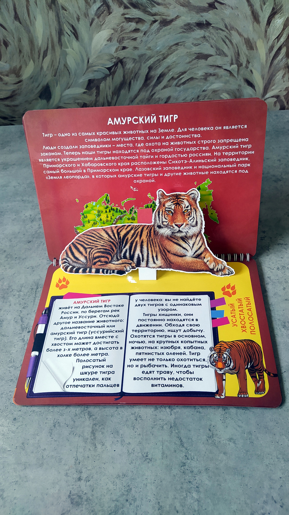 3D-Альбом "Красная книга животных России"