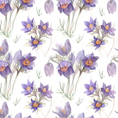 подснежники на белом фоне