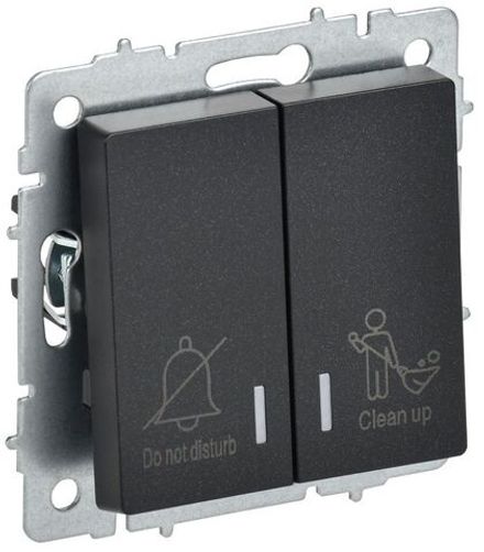 Выключатель 2-кл. BRITE 10А ВС10-2-9-БрЧ для отелей с индик. механизм черн. IEK BR-V20-2-10-K02