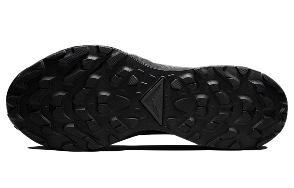 Кроссовки Nike Pegasus Trail 3 Gore-Tex "Black"