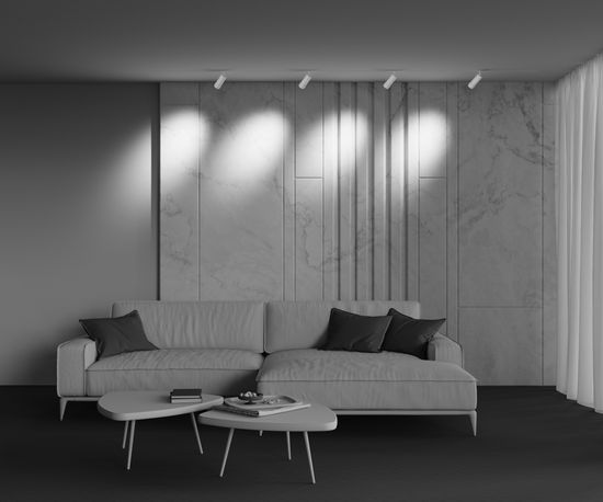 Трековый светильник Technical TR212-1-12WTW-DD-Z-W