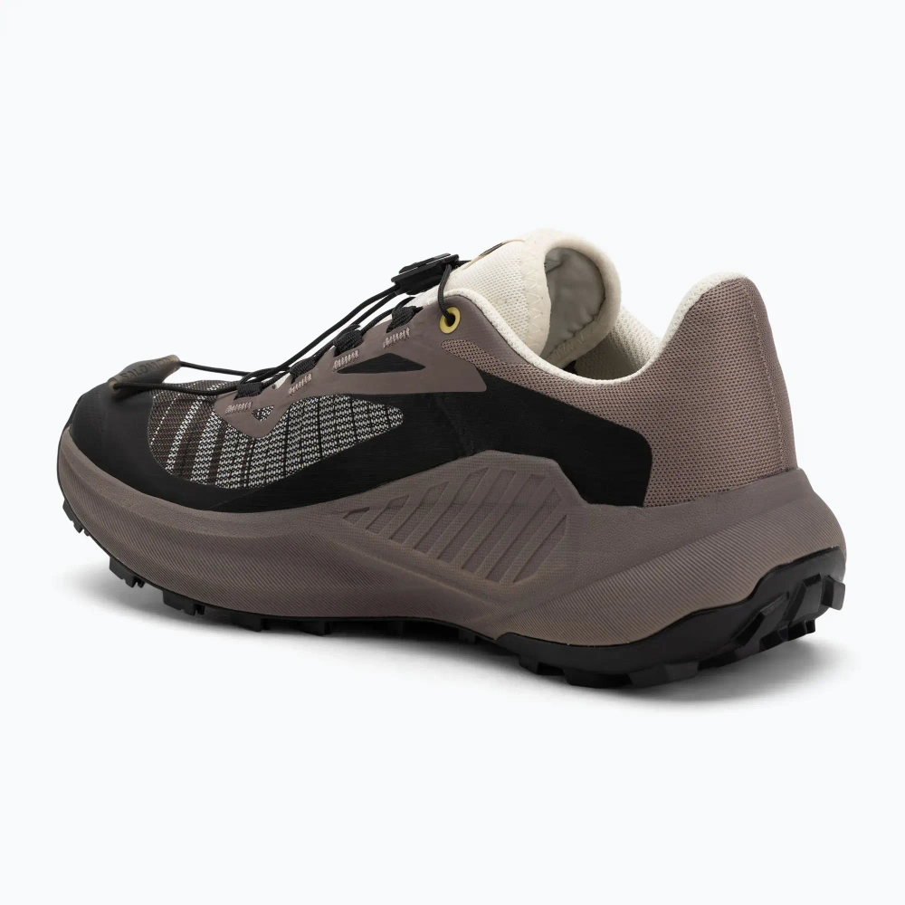 Женские Кроссовки для бега Salomon Genesis Iron/vanilla ice/cyclamen