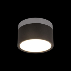 Накладной светильник Loft it 10179/12 Black