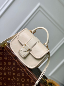 Louis Vuitton Hide & Seek Bag