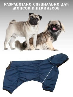 Комбинезон дождевик для собак французский бульдог