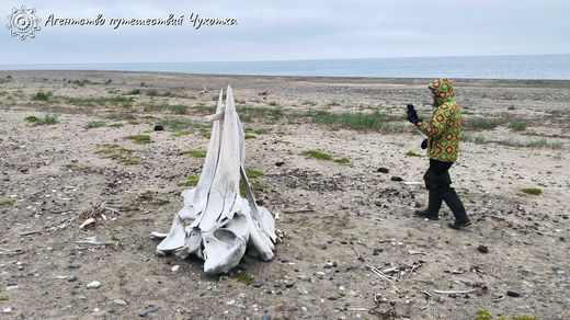 Бросок к последнему морю (Берингово море, коса Русская Кошка)