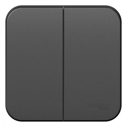 Выключатель 2-кл. ОП Blanca 10А IP20 (сх. 5) 250В с изолир. пластиной антрацит SE BLNVA105016