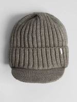 Шапка для мальчика с козырьком на осень