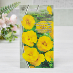 ГРАВИЛАТ чилийский Аурелия (0,1г) Цв.пак.(10шт)