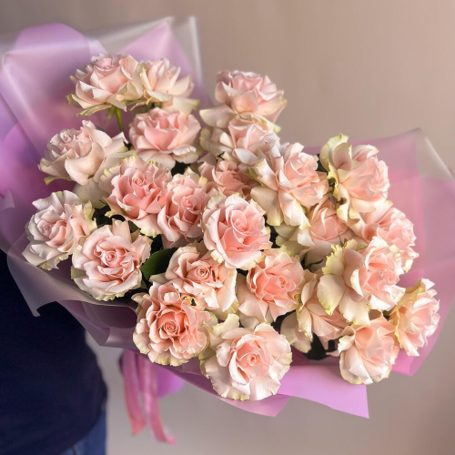 Розовые французские розы 25 шт