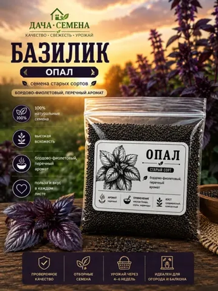 Базилик опал семена