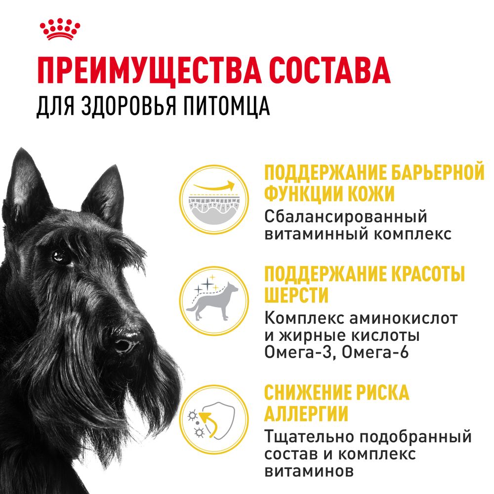 Сухой корм Royal Canin Mini Dermacomfort для взрослых собак мелких размеров при раздражениях и зуде кожи