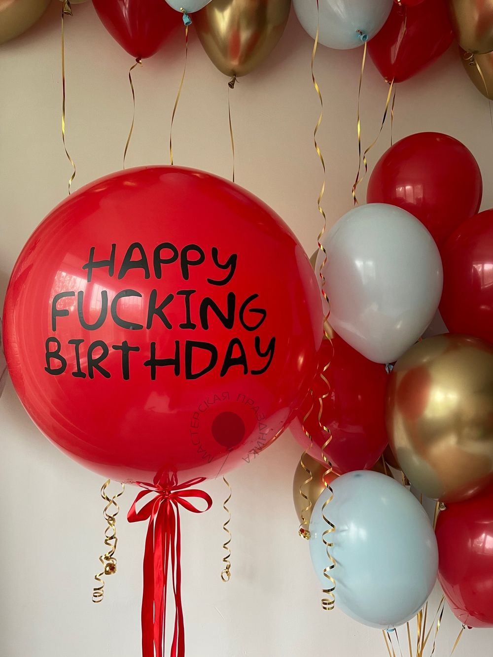 Воздушные шары Унылый кот для него №8508  Изображение3