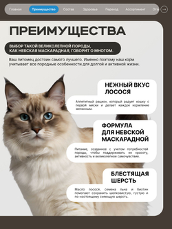 Корм сухой для взрослых кошек породы Невская маскарадная, с лососем, 400 гр, QUATTRO