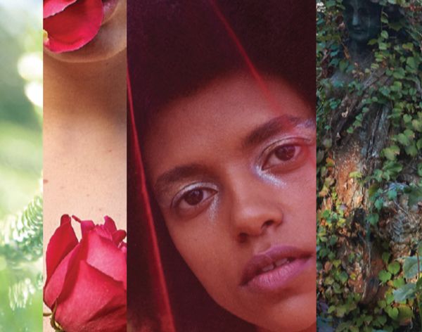 Henry Rose Queens and Monsters