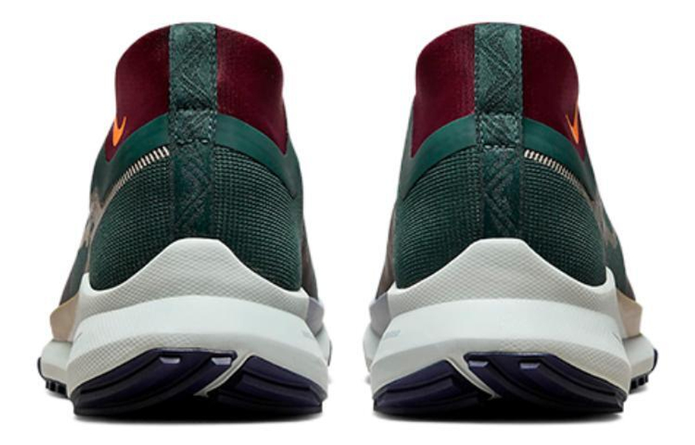 Кроссовки Nike Pegasus Trail 4