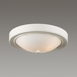Накладной светильник Lumion 5279/2C