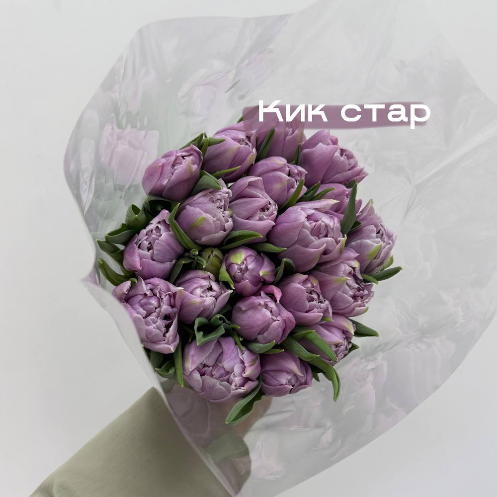 Тюльпаны сиреневые Кик стар 1шт поштучно