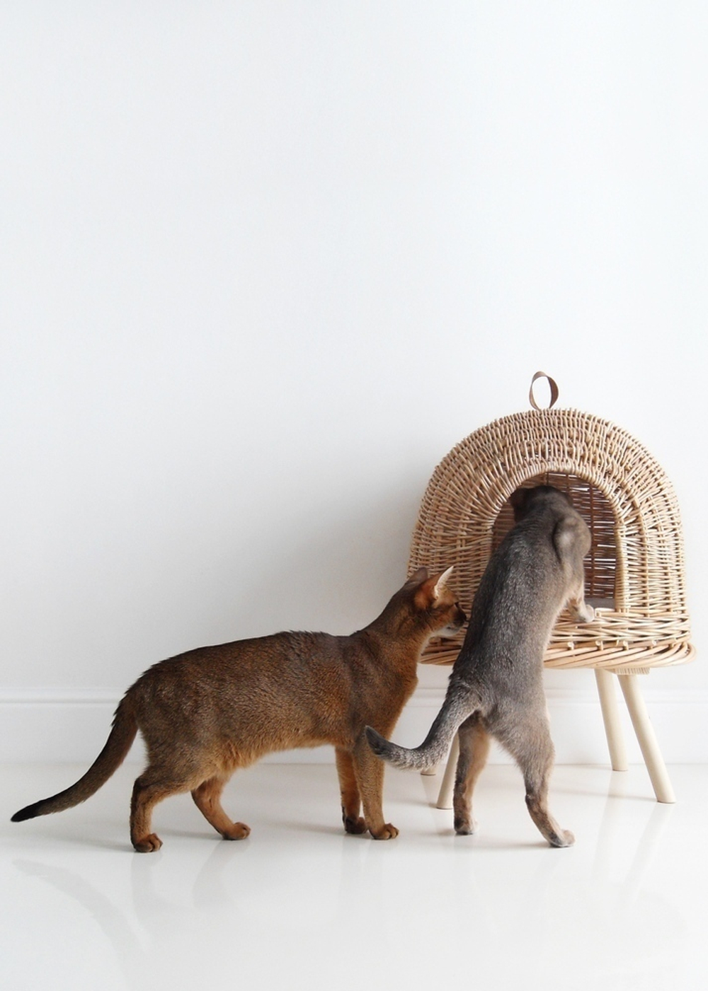 Домик "Пони-НЛОни"