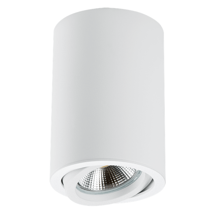 Потолочный светильник Lightstar Rullo 214406