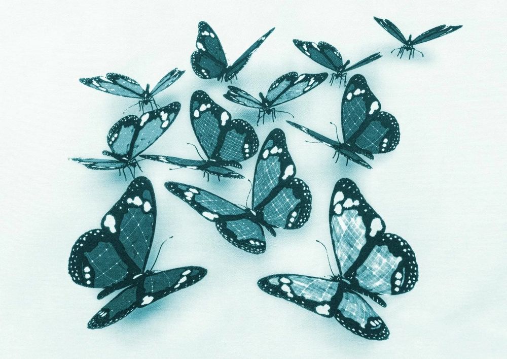Велюр Батэрфляис блу (Butterflies blue) 3D-03